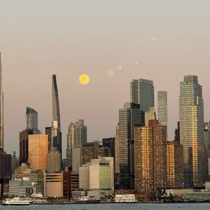 You Just Purchased A Magnificent Mystery Bag! Congrats & TY!